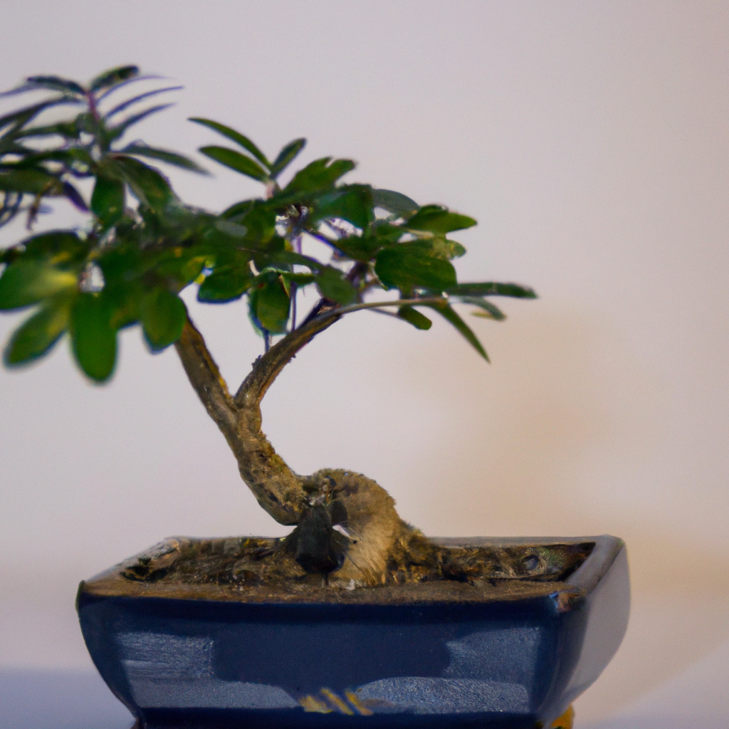 ¿Cómo cultivar un árbol Pre-Bonsai?