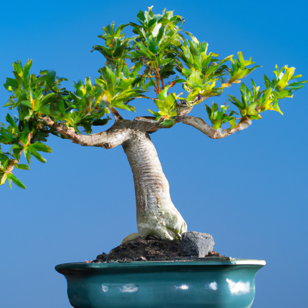 Cuidado del Portulacaria bonsai: Una Guía Práctica
