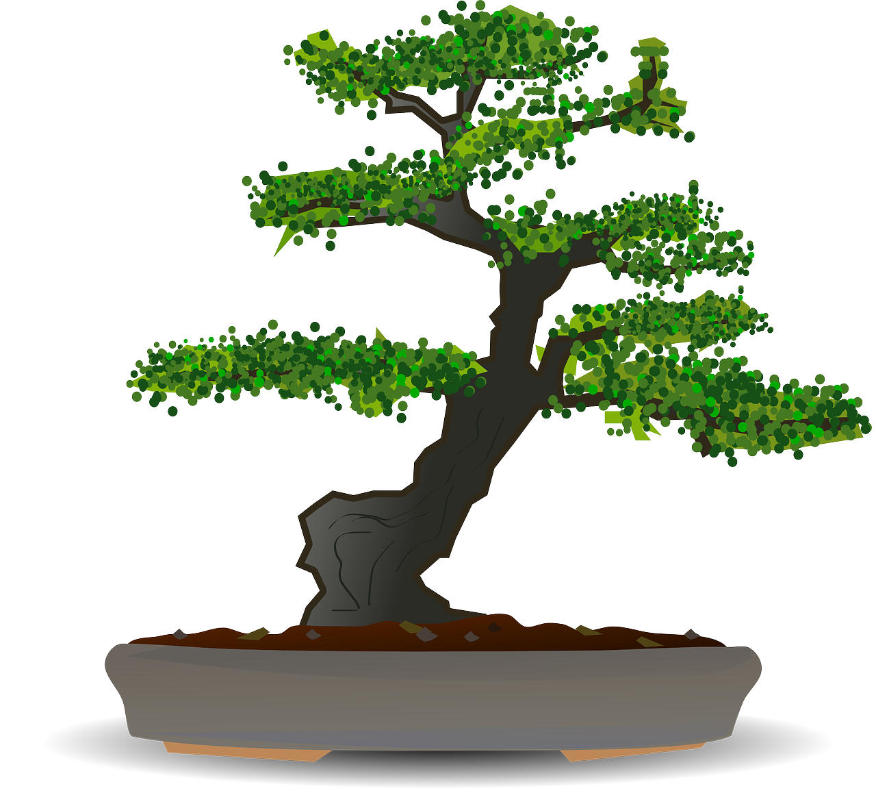 ¿Cómo afecta la floración del bonsái?