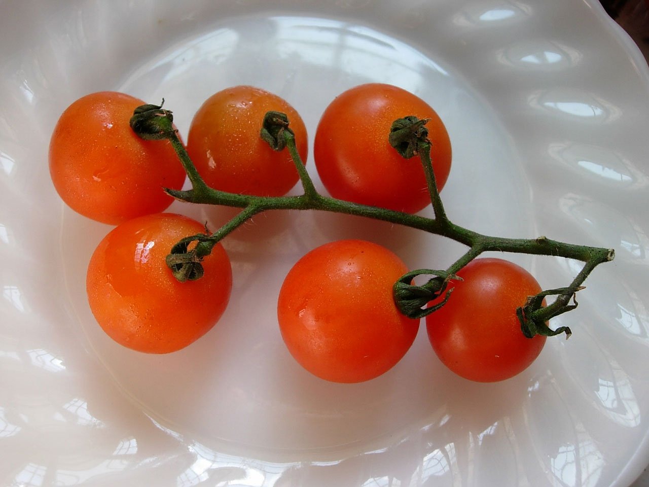 Descubriendo el tomate racimo: ¿qué es y para qué sirve?