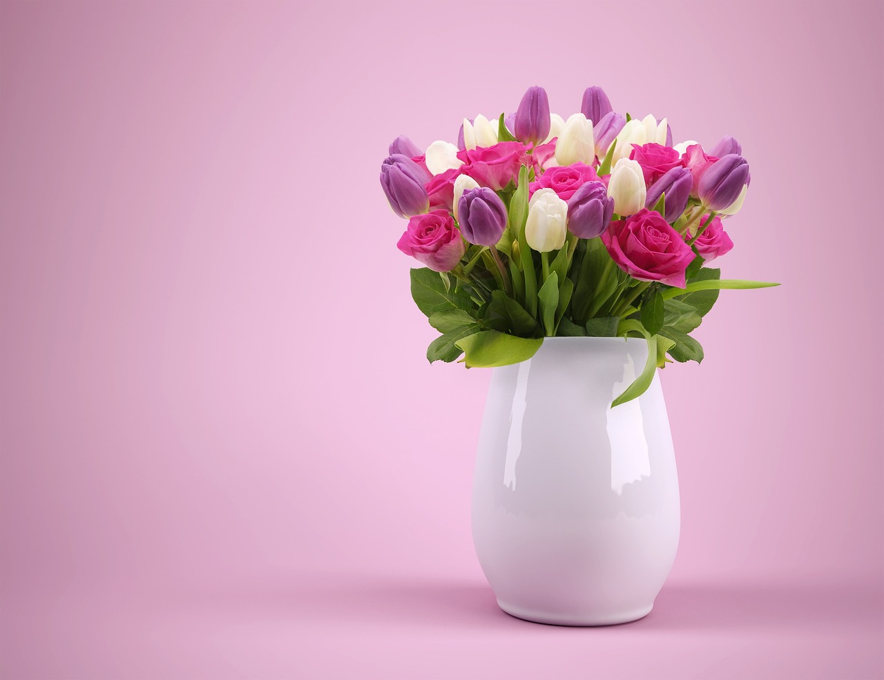 ¿Qué Colores Presentan los Tulipanes?”