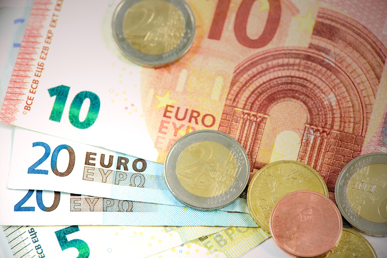 ¿Cuánto Cuesta un Bambú Grande? Descubre el Precio