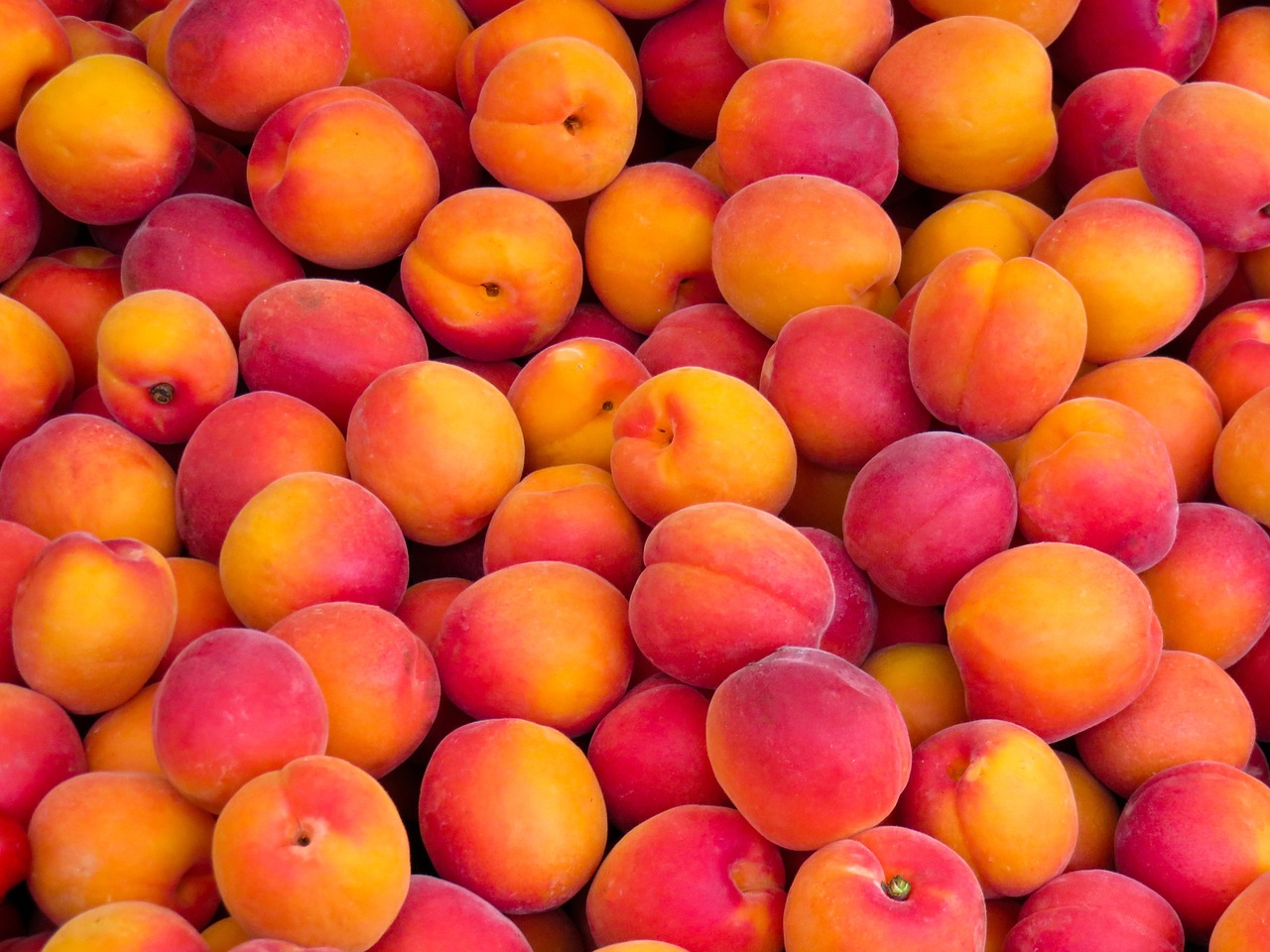 Descubre el nombre del árbol de la nectarina