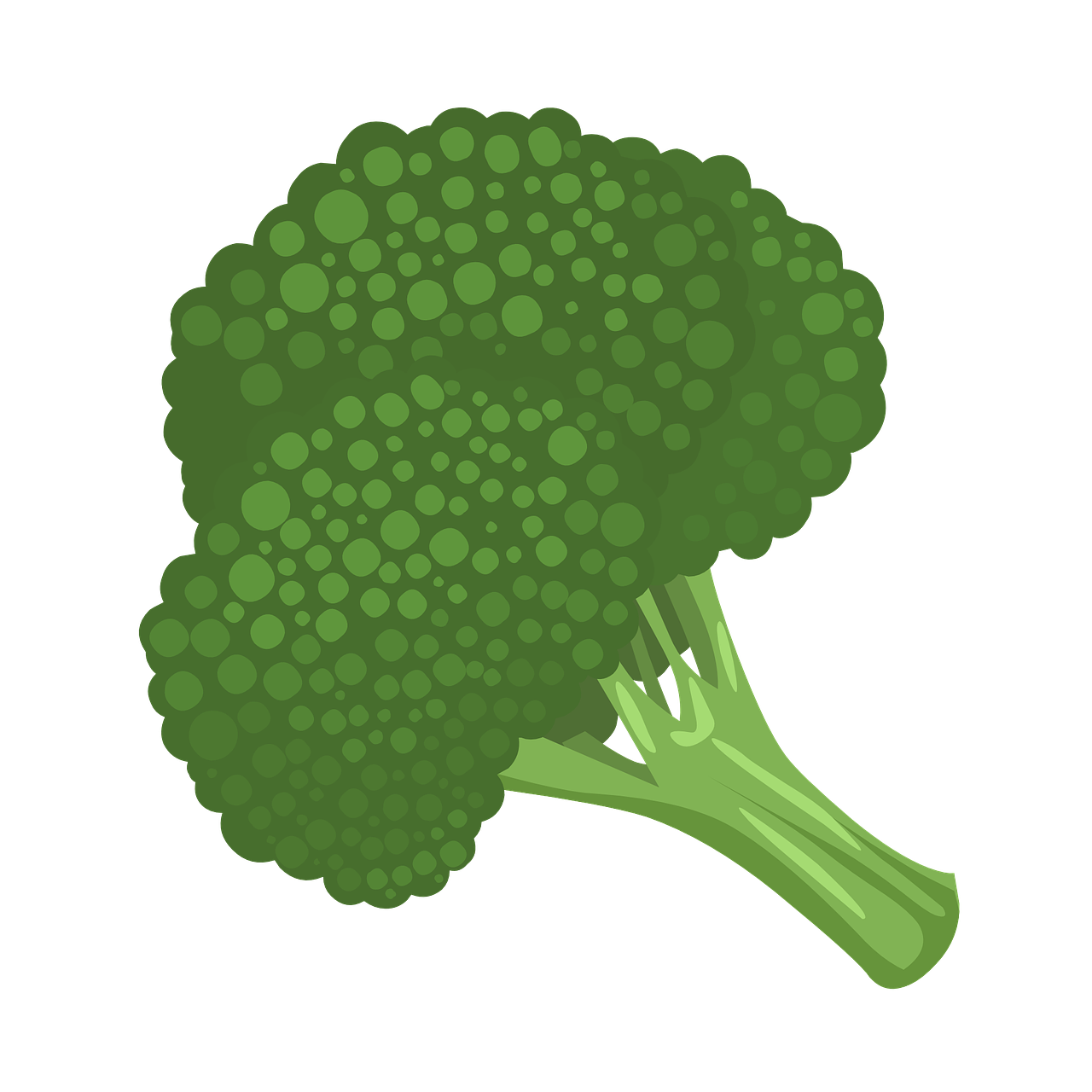 Los tipos de brócoli y sus beneficios