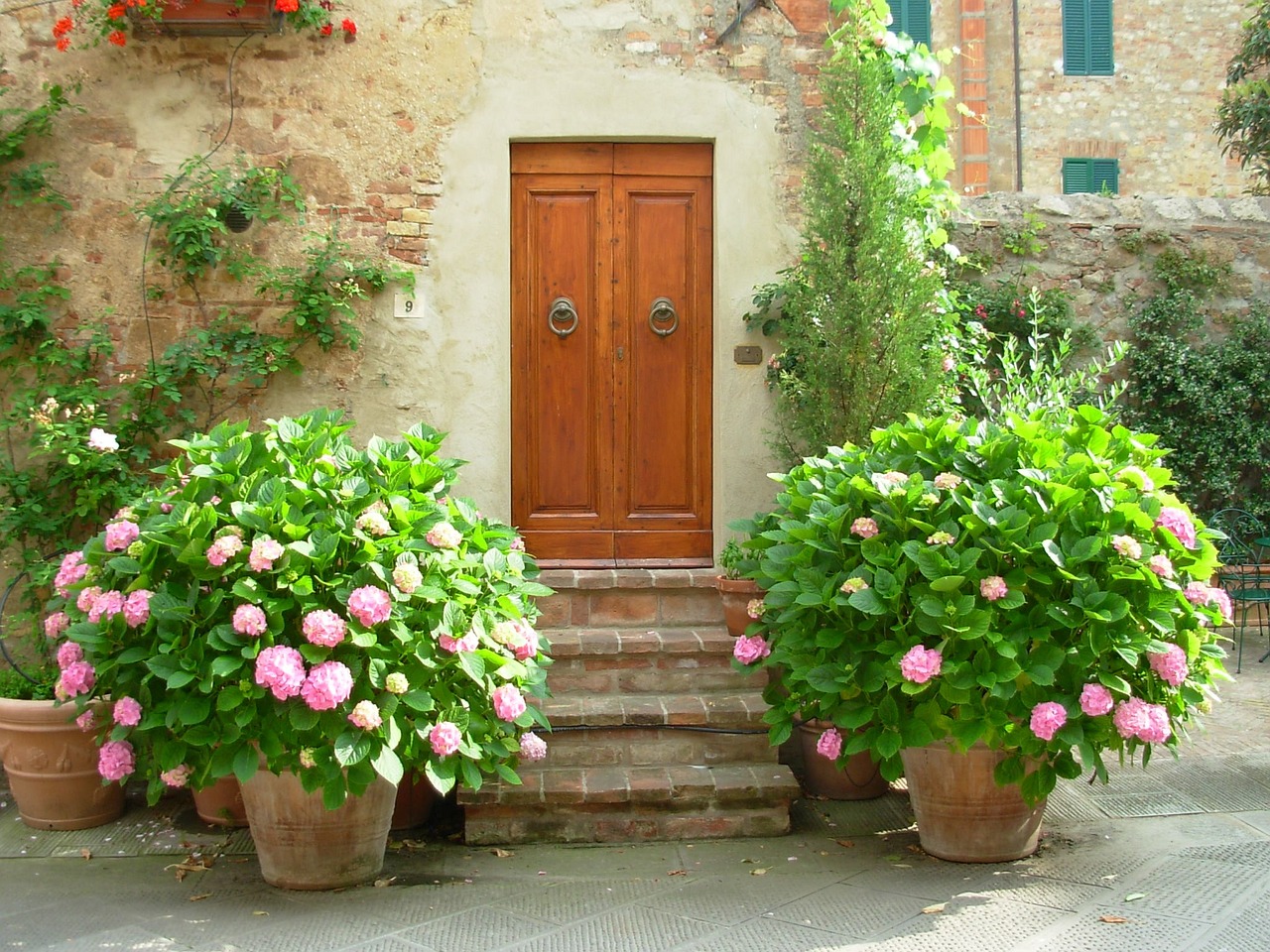 Cuidar una hortensia en casa: los beneficios de tener una