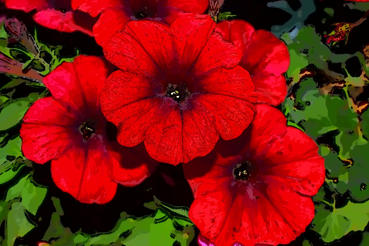 ¿Cómo son diferentes las Surfinias y las Petunias?”