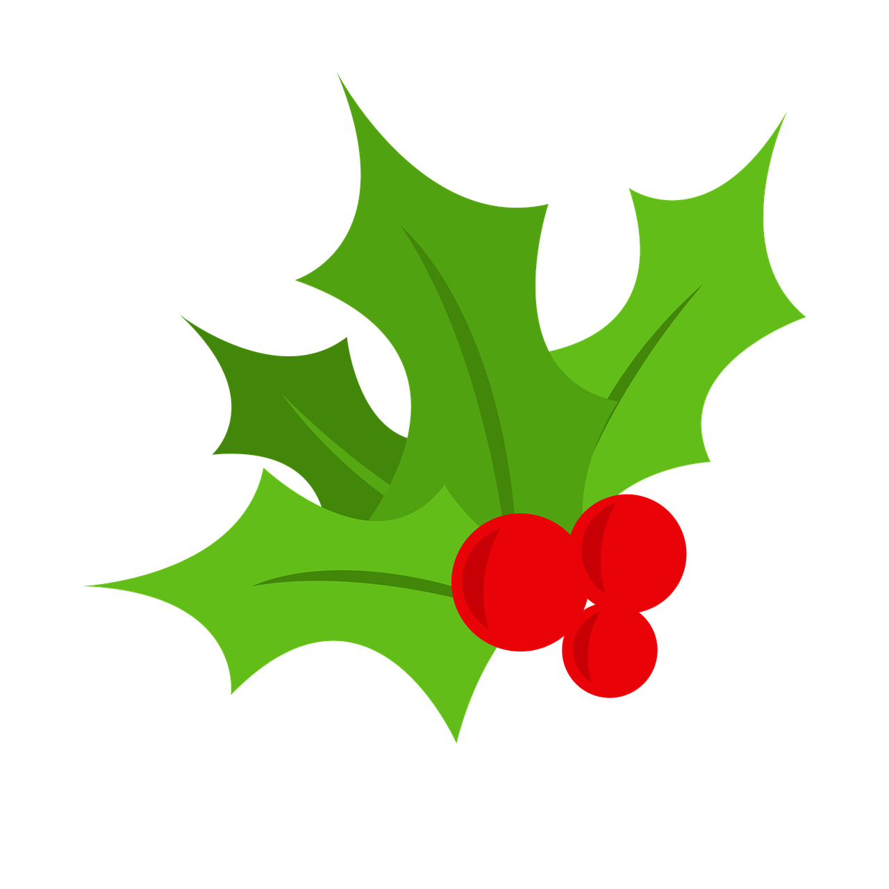 ¿Cuándo es el Momento Adecuado para Regalar Muérdago?
