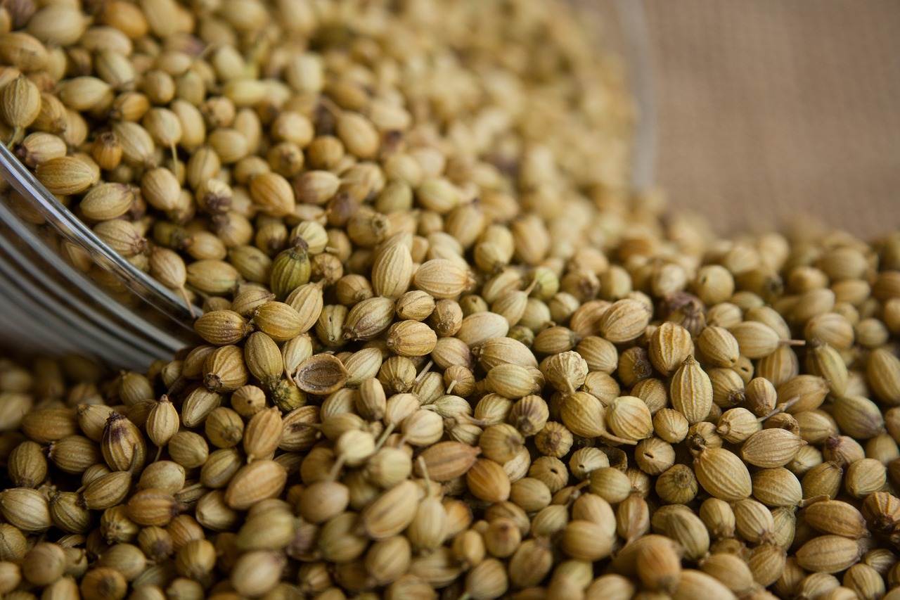 Usos y beneficios de las semillas de cilantro