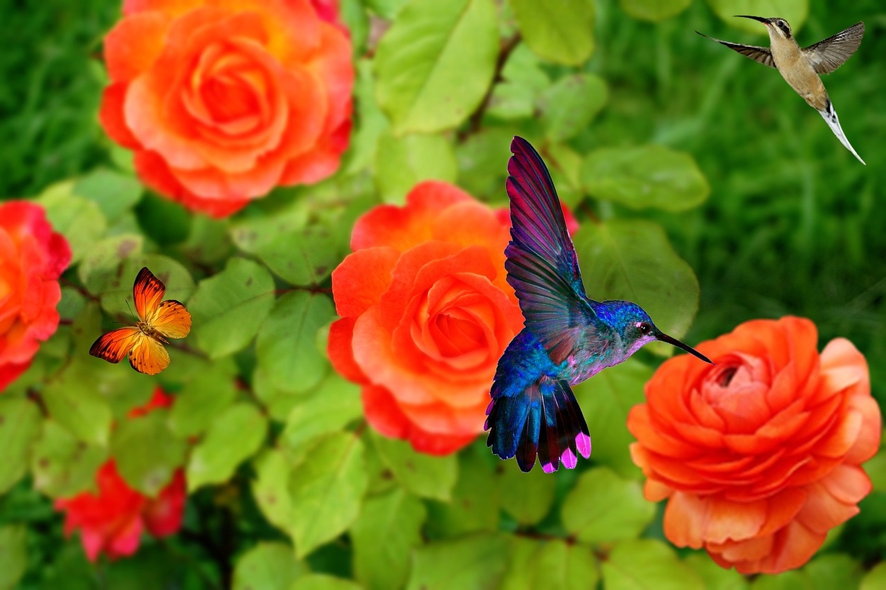Descubriendo la Belleza de un Rosal