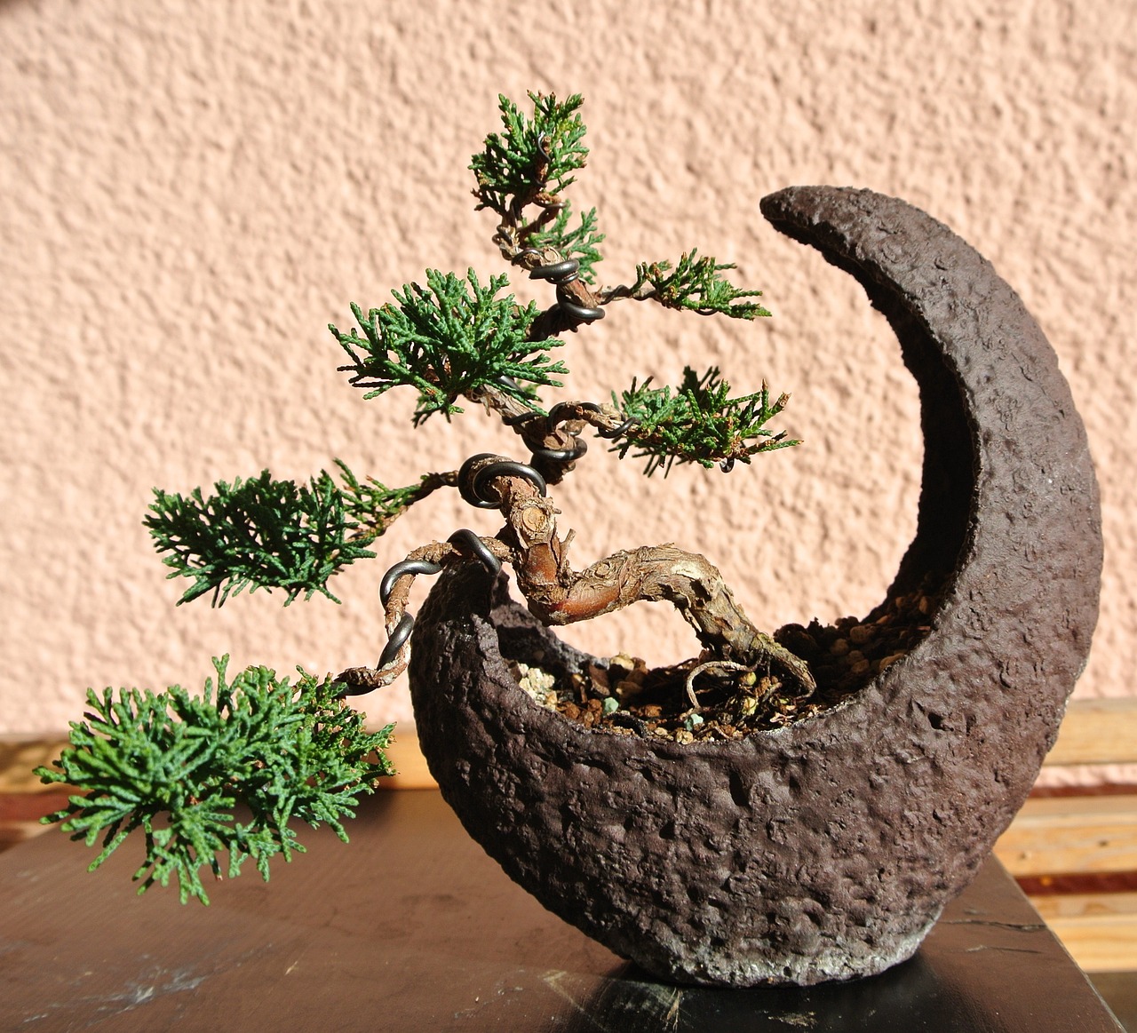 ¿Qué tipo de sustrato es el mejor para un Bonsai?