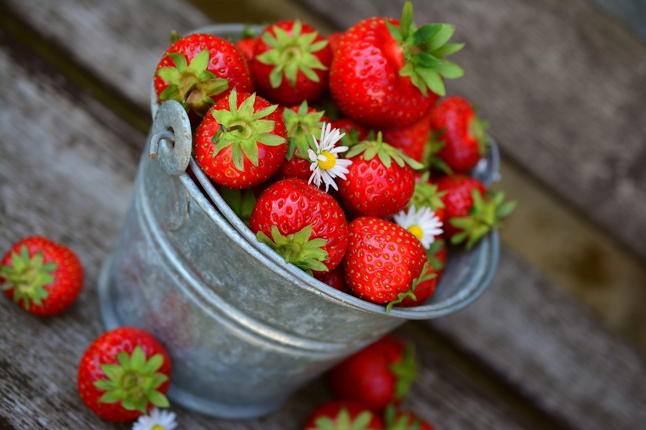 Cultivando Fresas del Bosque: ¿Dónde y Cómo Hacerlo?