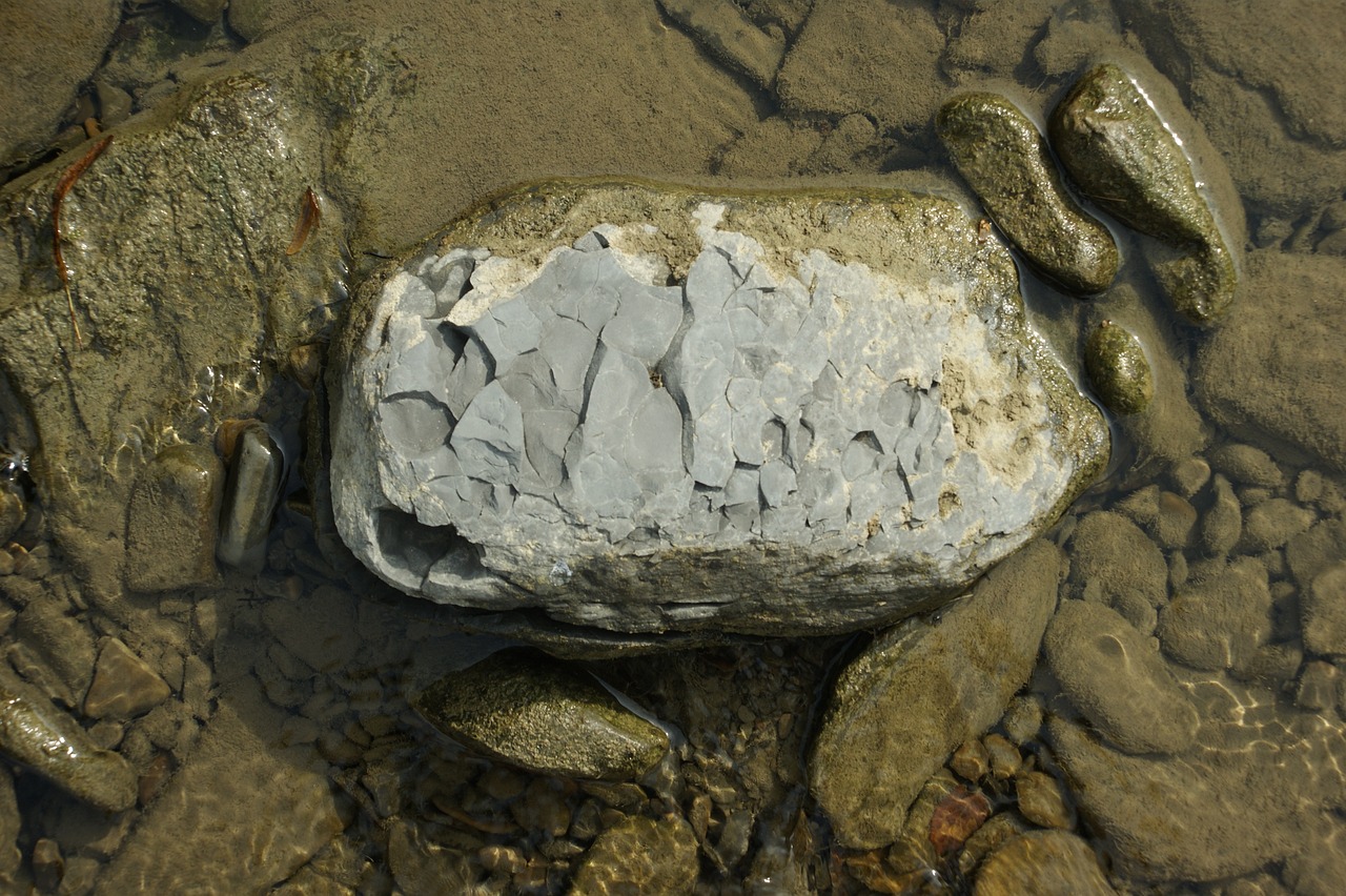 Shungita: Descubriendo los Beneficios de una Piedra Milagrosa